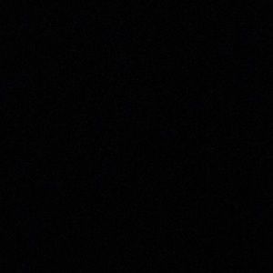 Meet your Posher, Lane